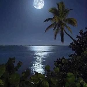 Meet your Posher, Banca los picapiedras